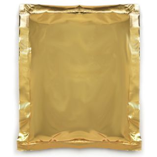 TT Turbo Yeast 90 grams in neutral gold foil pouch