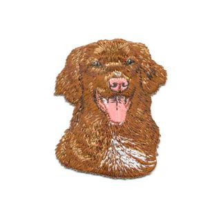 Embroidery Patch Tollare Head - Nova Scotia Duck Tolling Retriever