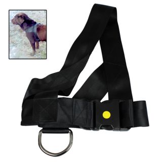 DS Agitation Harness Polyester 65 cm