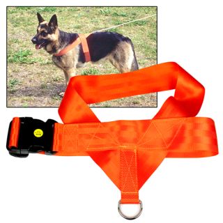 DS Orange Tracking Harness 50 cm